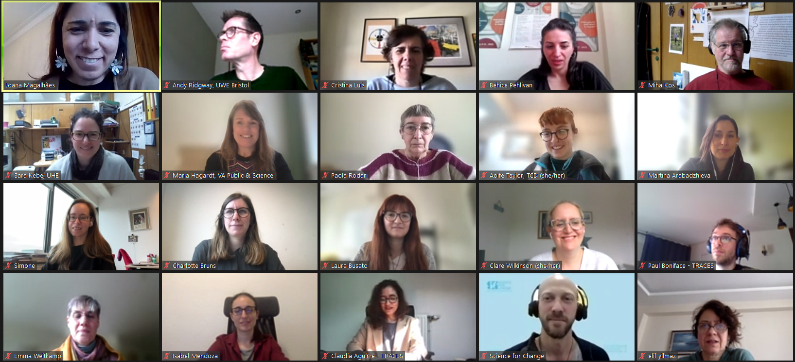 A screenshot of a Zoom meeting with 20 people in four rows of five each