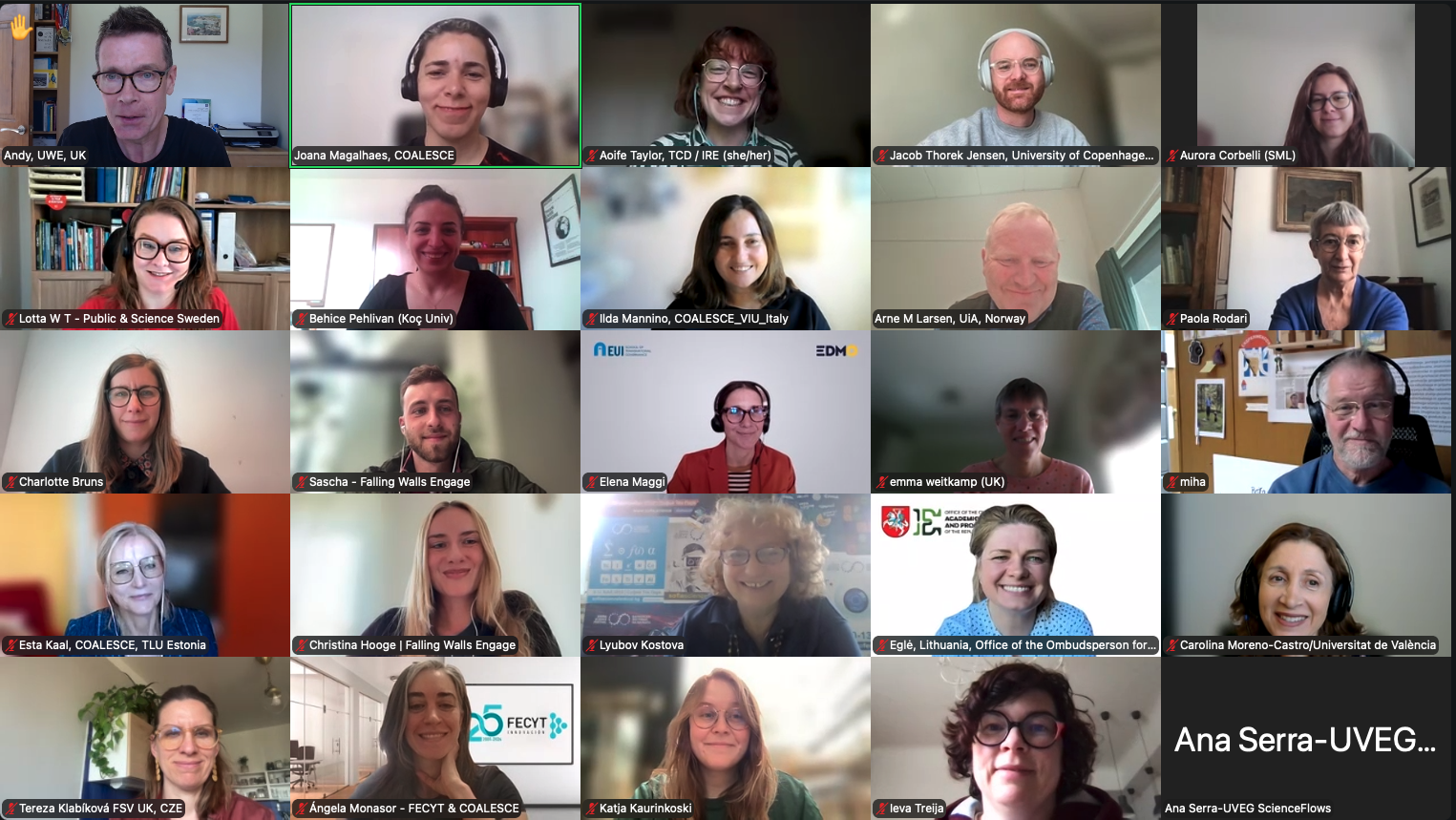 The latest Mutual Learning and Exploitation event (ML&E 6), on 30 April 2026, provided the opportunity for COALESCE Hubs to hear about the work of the European Digital Media Observatory (EDMO) Hubs and Falling Walls Engage Hubs. The meeting was held online.